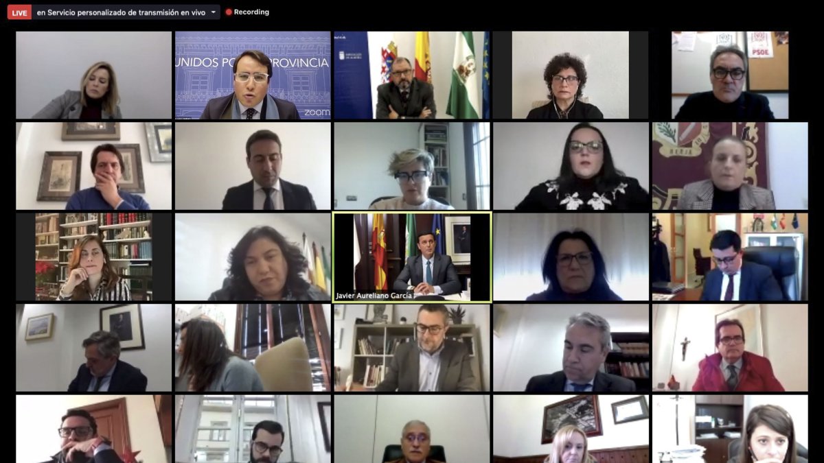 Pleno telemático de la Diputación de Almería, celebrado ayer.