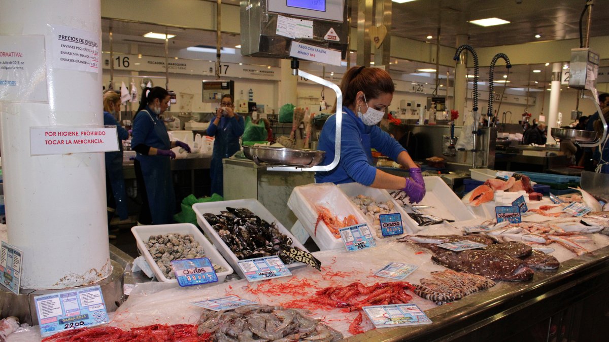 La gamba roja de Almería, la reina en las mesas de la Nochevieja almeriense.