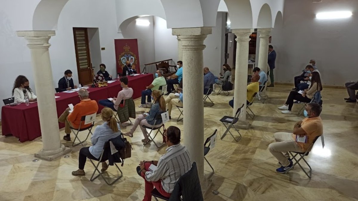 Imagen del último plenario de hermanos mayores de la Agrupación de Hermandades y Cofradías.