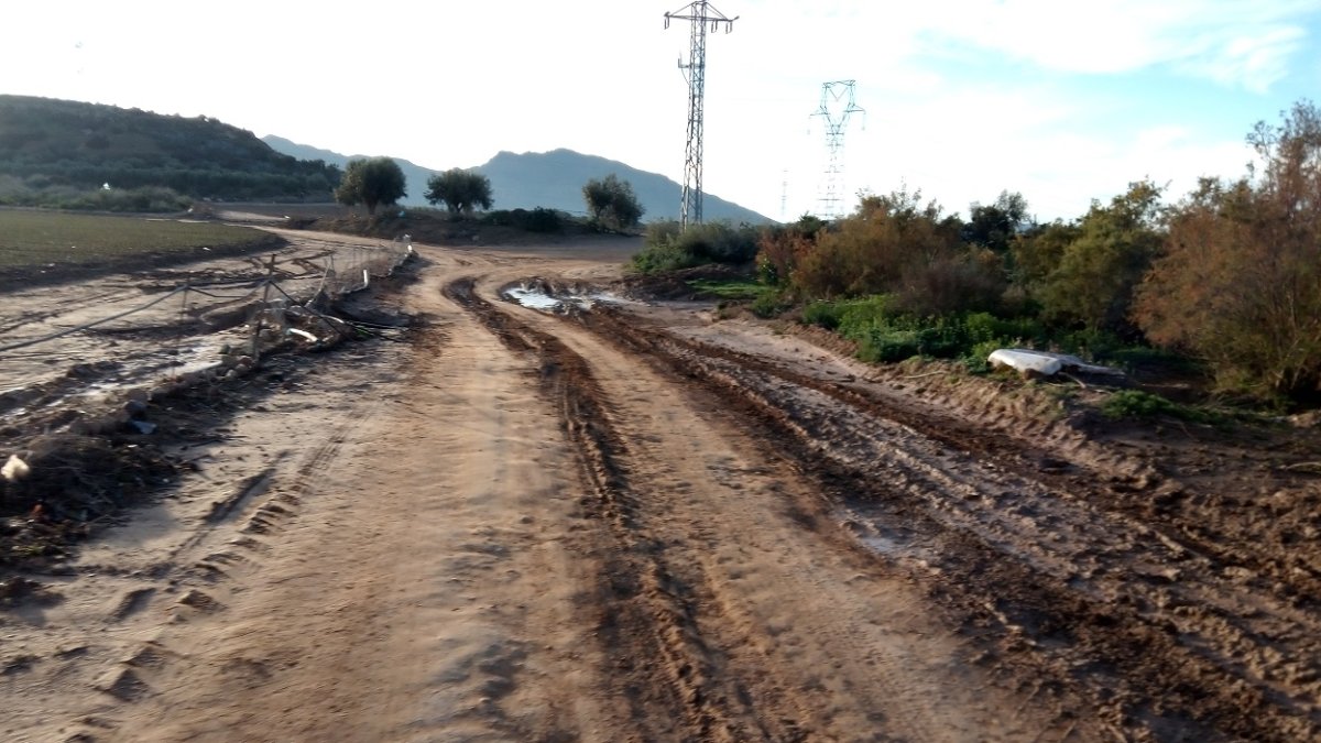 Un camino rural del municipio de Pulpí, en una imagen de archivo.