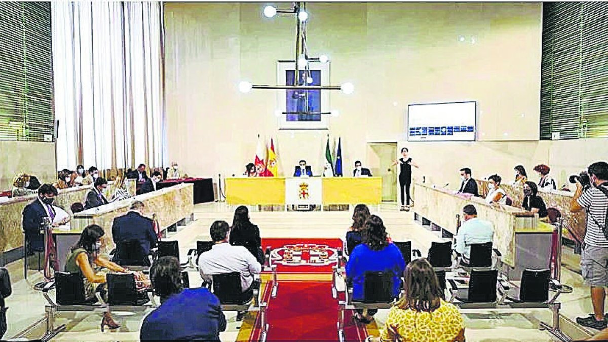Último pleno presencial del Ayuntamiento de Almería