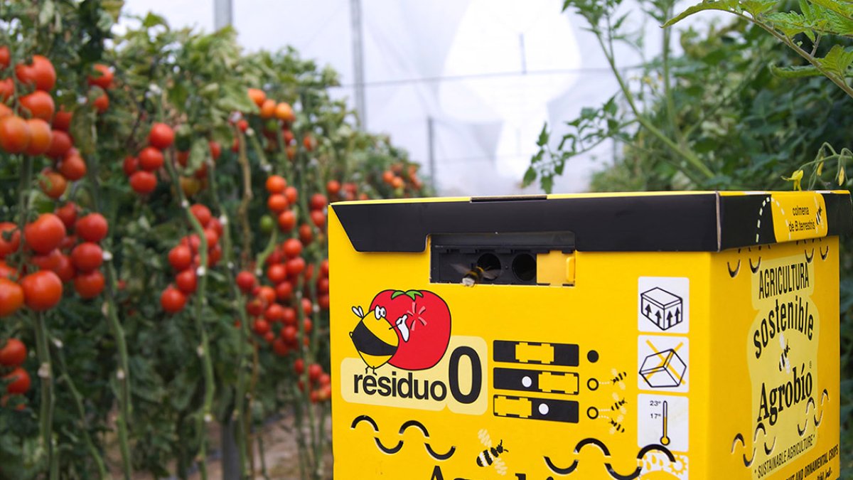 Agrobío ha recibido este reconocimiento agradecido por los resultados obtenidos durante su trayectoria empresarial.