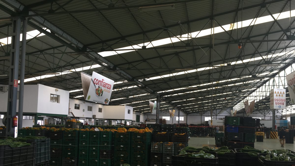 Imagen de archivo de productos hortofrutícolas en Agrupaejido de La Redonda.