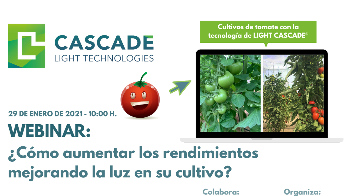 Un evento clave para saber cómo se puede mejorar la luz en los cultivos de hortalizas y mejorar los rendimientos.