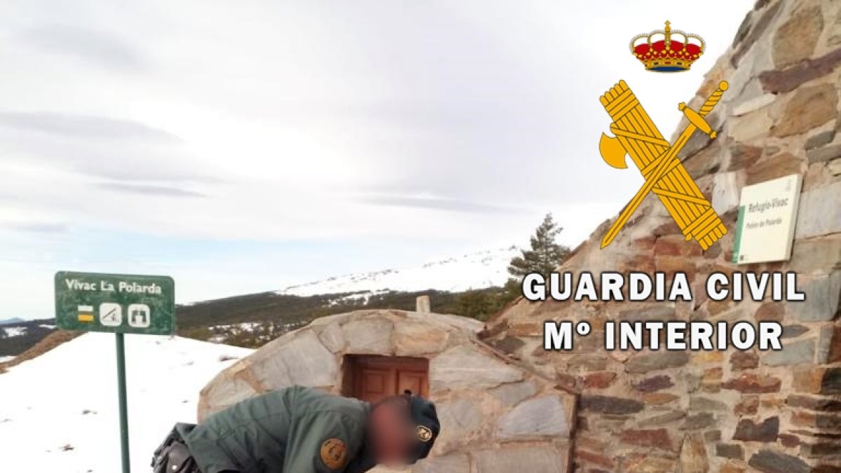 Una actuación en defensa de los animales domésticos.