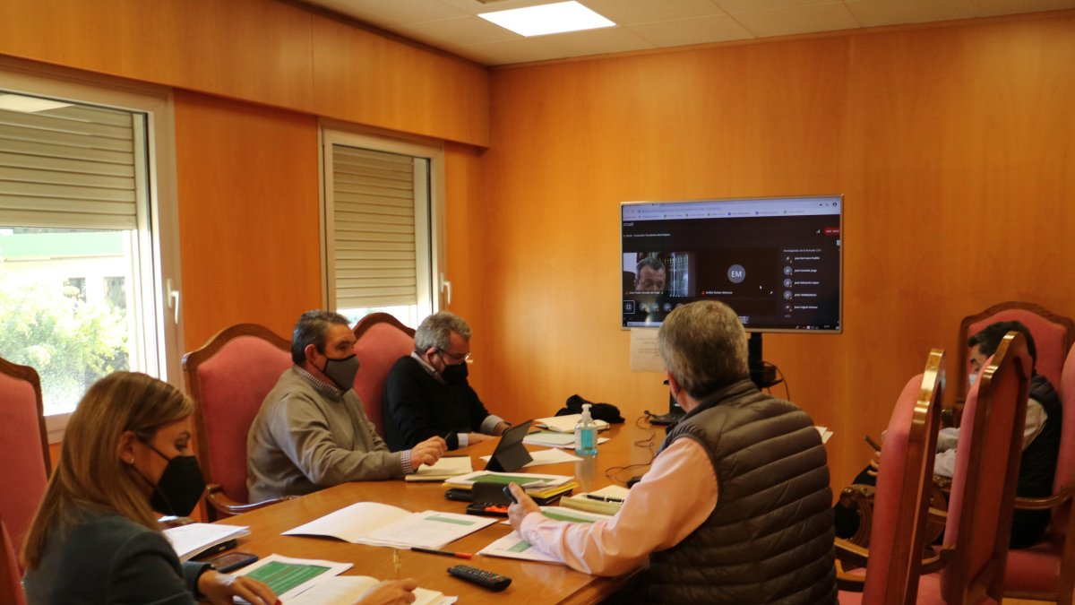 La reunión con los alcaldes ha sido por videoconferencia.