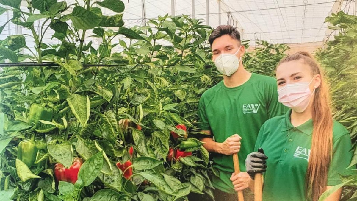 Este centro de Formación Profesional cuenta con titulaciones de grado medio y superior innovadoras para el desarrollo del sector agrario.