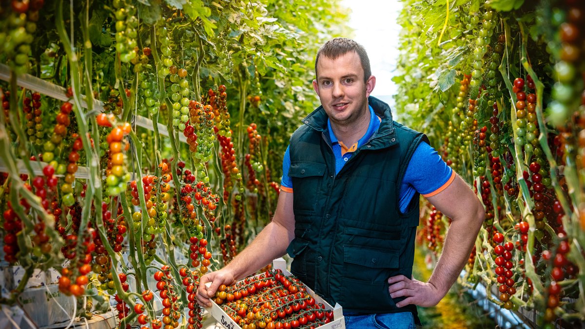 La introducción en el mercado Europeo se prevé para 2026.