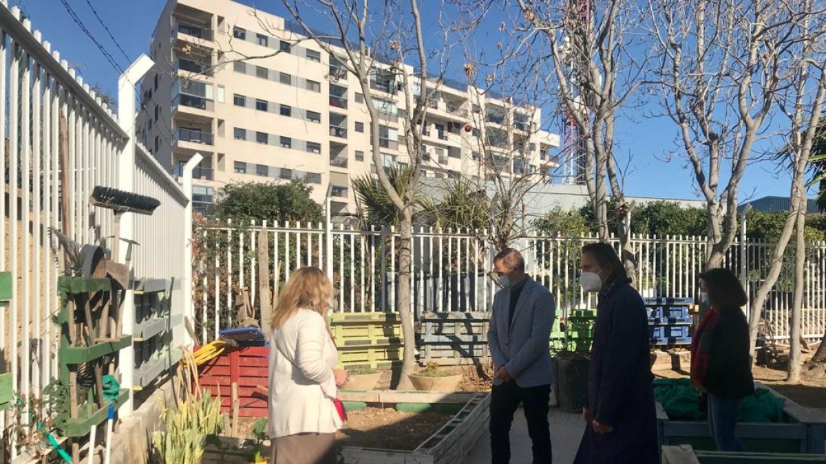 El delegado ha visitado el huerto escolar del centro.