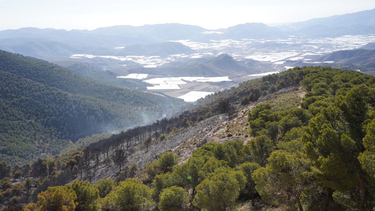 Zona afectada por el fuego en Castala.