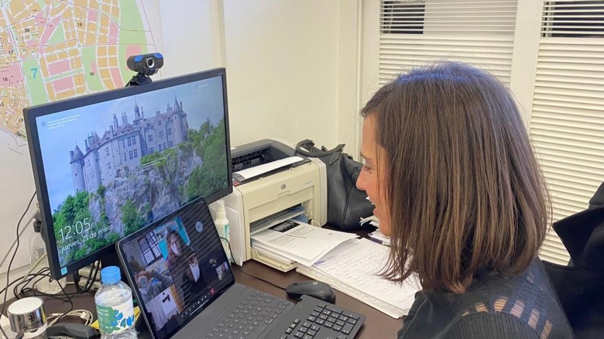 Reunión telemática Margarita Cobos con los directores de centros escolares.