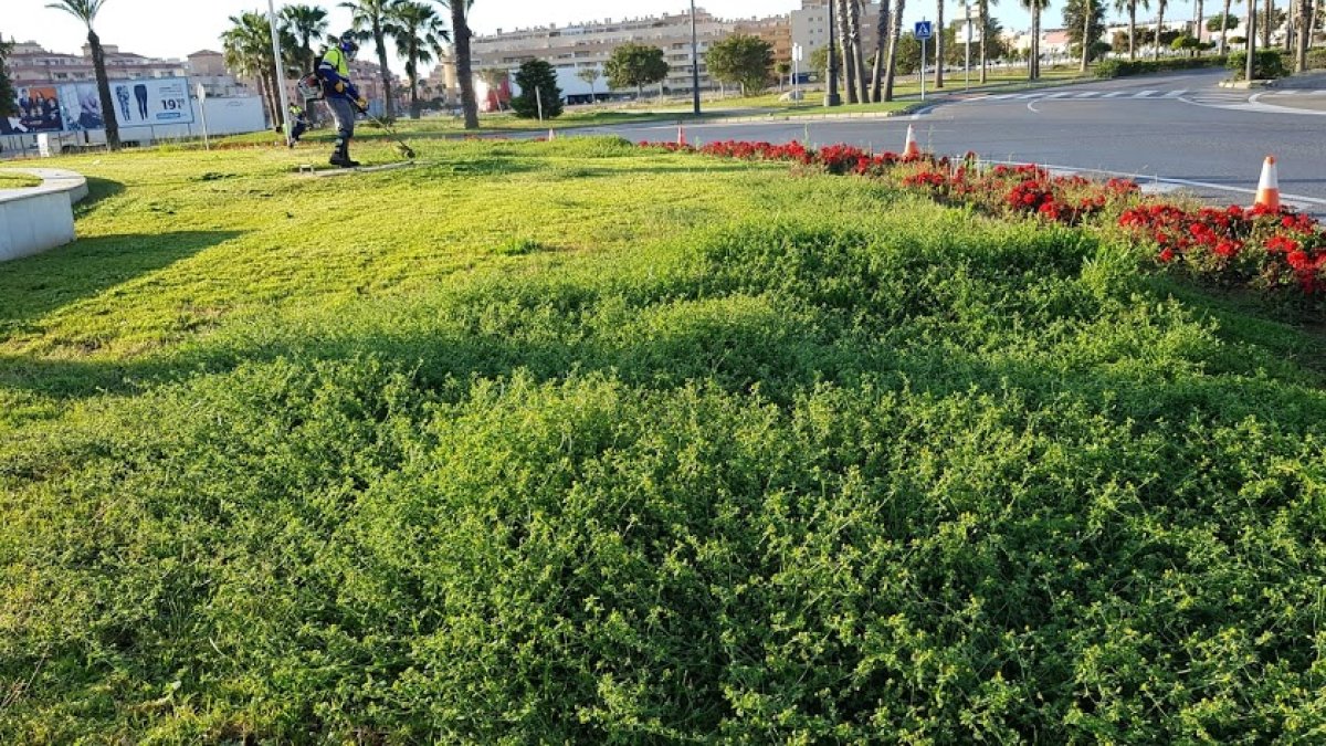 Imagen de archivo de una zona ajardinada del municipio de Roquetas de Mar.