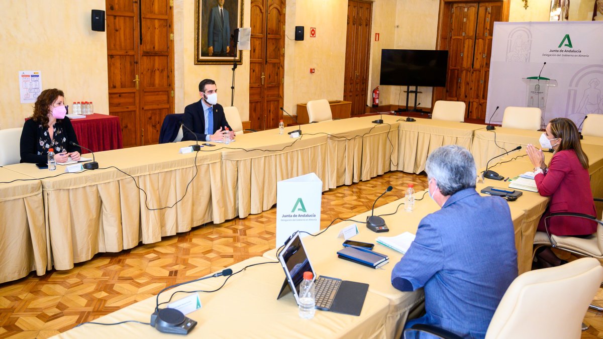 Reunión del alcalde con epidemiólogos y los delegados de Gobierno y Salud.