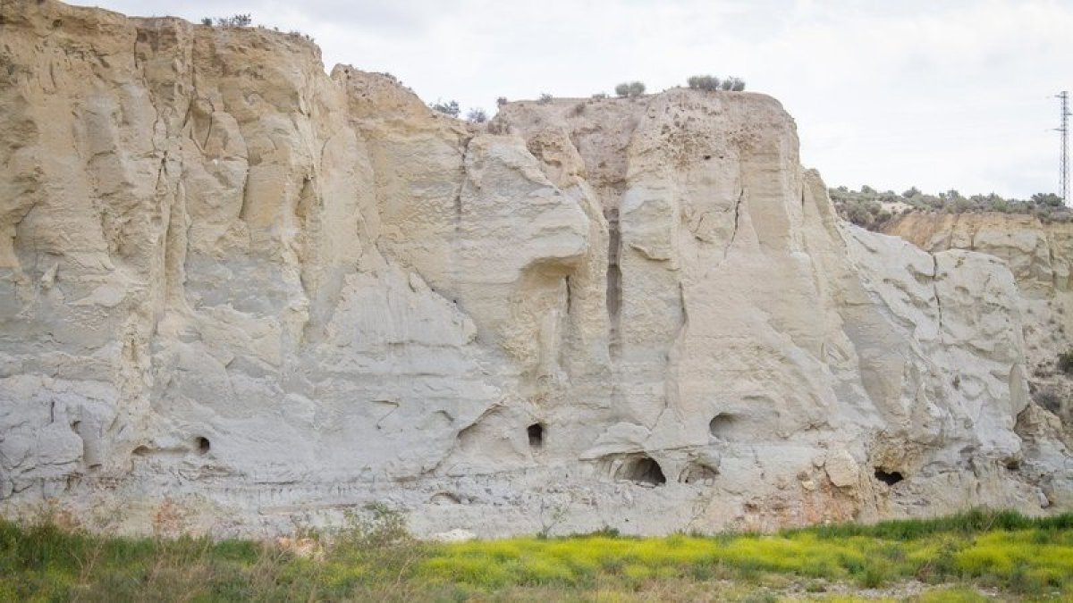 Imagen que ilustra la recogida de firmas.