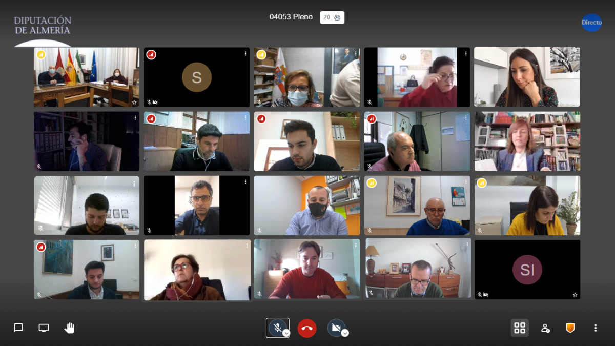 Pleno virtual celebrado este viernes.