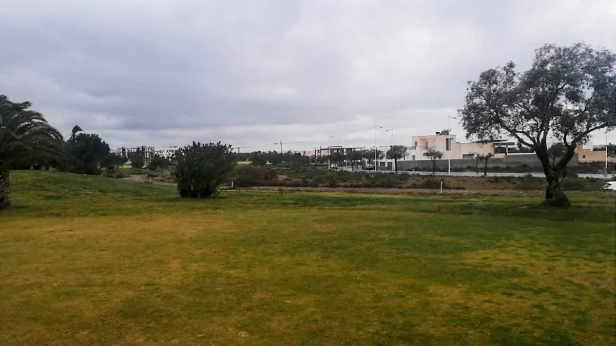 Parcelas que saldrían a subasta.