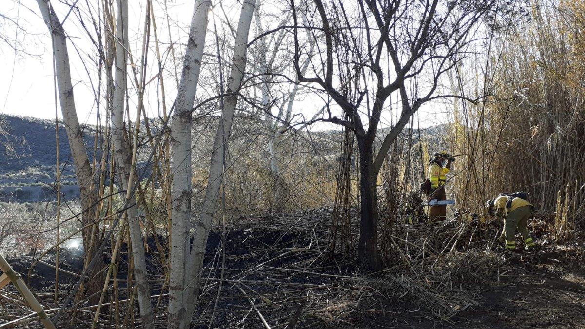 Imagen publicada por el Infoca.