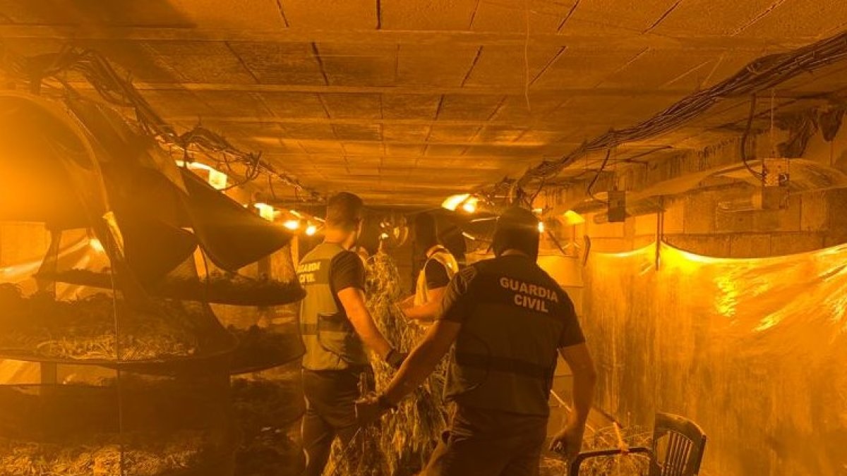 Zulo registrado por OCON