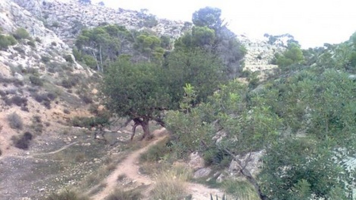 La Molineta, un soplo de aire fresco a tiro de paseantes, familias o deportistas