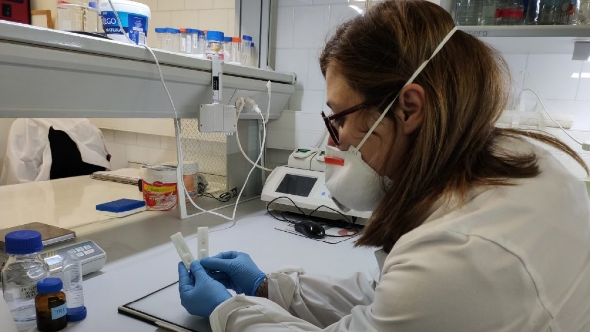 En Almería se investigan 50 casos que podrían ser de la cepa británica del covid.