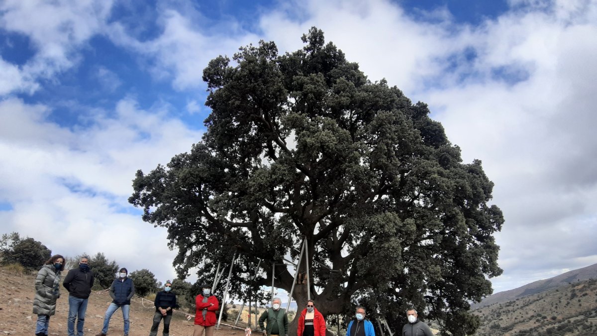 Representantes de los entes miembros de la asociación, junto a la encina.