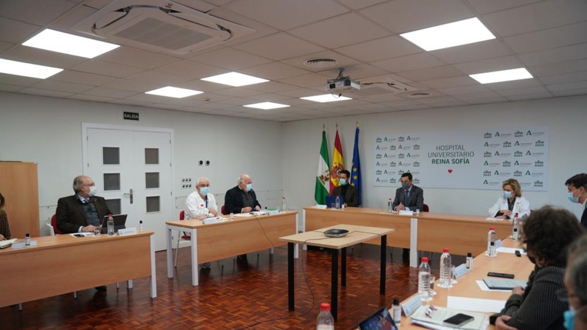Reunión en Córdoba del comité de expertos que asesora a la Junta.