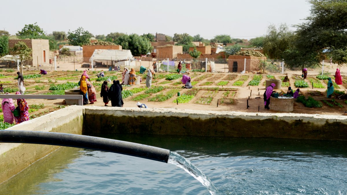 Proyecto realizado por Manos Unidas en Mauritania