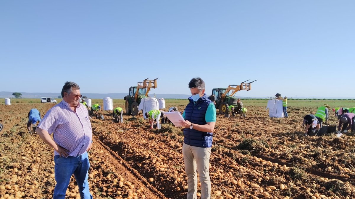 AGROCOLOR siguen trabajando en todas las líneas afines a la norma para lograr una producción agrícola segura y sostenible.