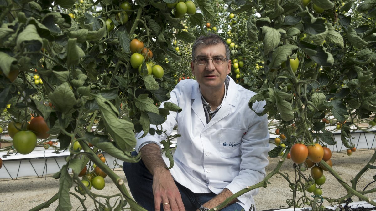 Juan José Magán en su centro de trabajo