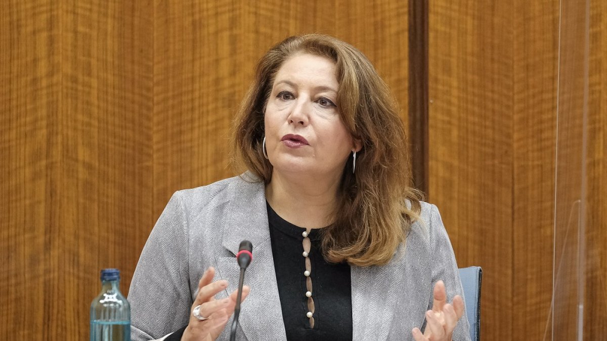 Crespo ha indicado que estos objetivos del plan estratégico tienen su reflejo en proyectos e inversiones específicos.