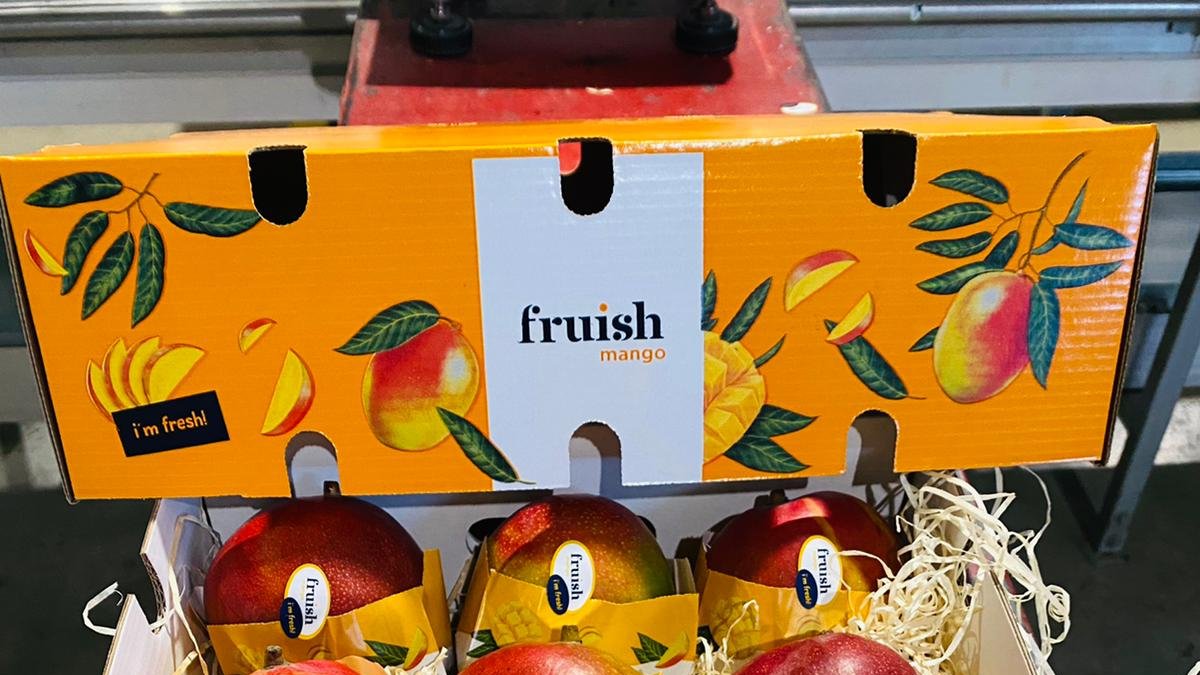 Grupo Agroponiente lanza la marca especializada ‘Fruish’