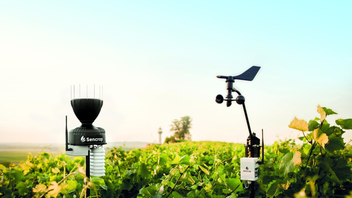 La temperatura, la pluviometría, el viento y la humedad foliar son algunos de los datos que aportan las estaciones.