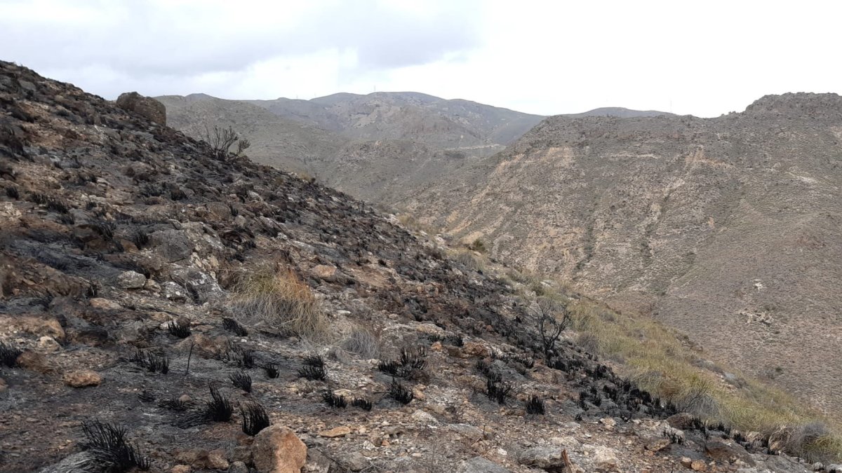 Imagen del Infoca de la zona afectada por las llamas.