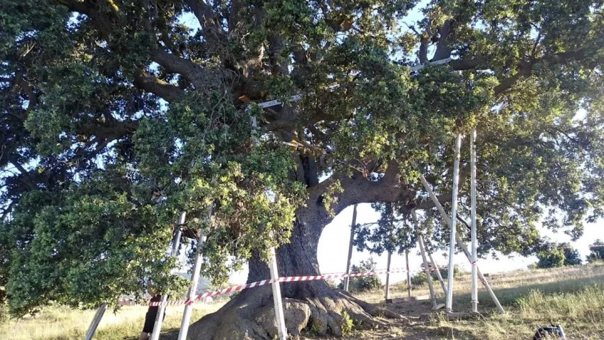 Imagen de archivo de \'La Peana\' de Serón.