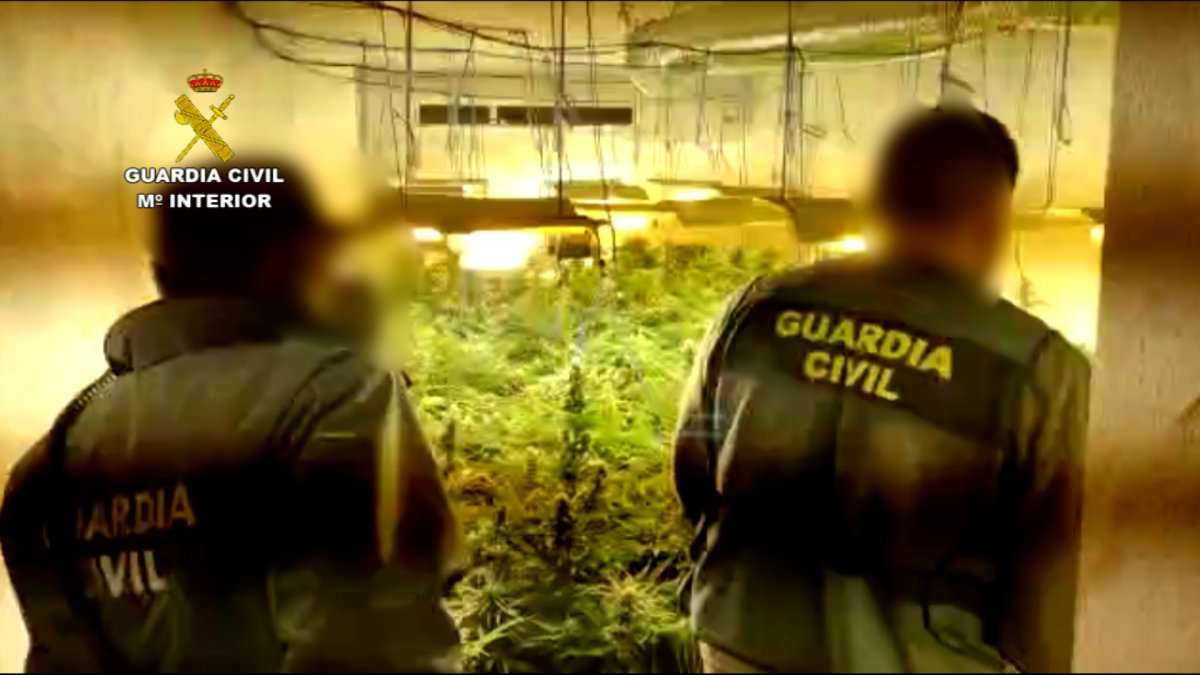 Las 13 viviendas registradas se encontraban ocupadas de forma ilegal.