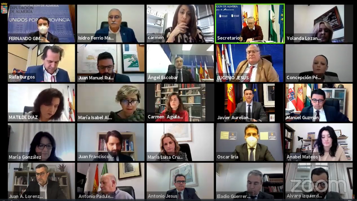 El pleno se ha celebrado de forma telemática.