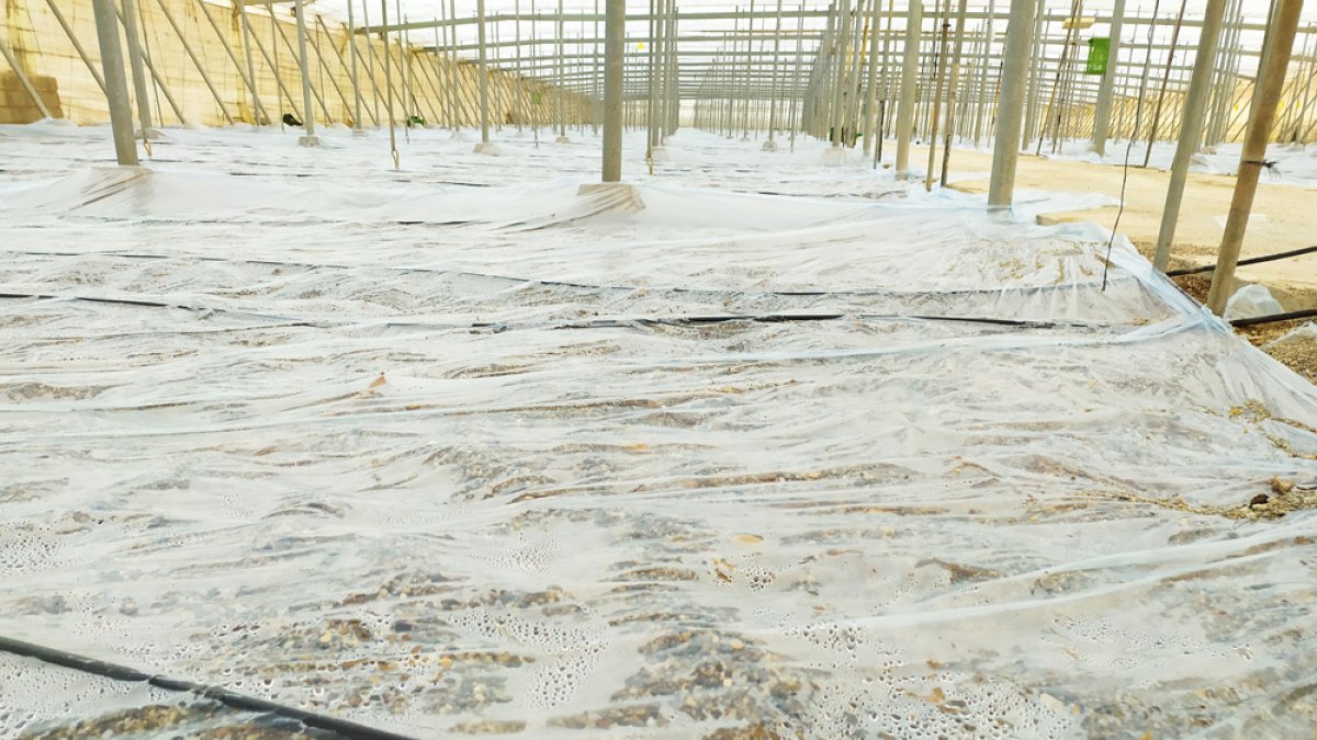 Othar, el plástico azul de Politiv.