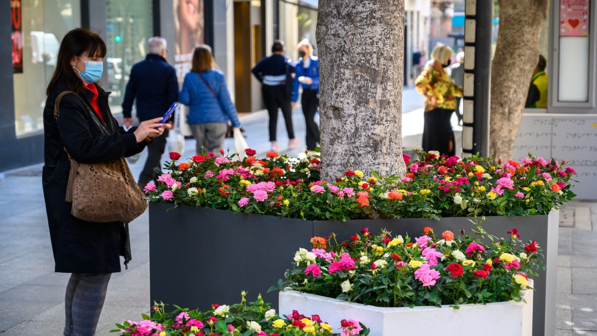 Una transeunte fotografiando los nuevos maceteros