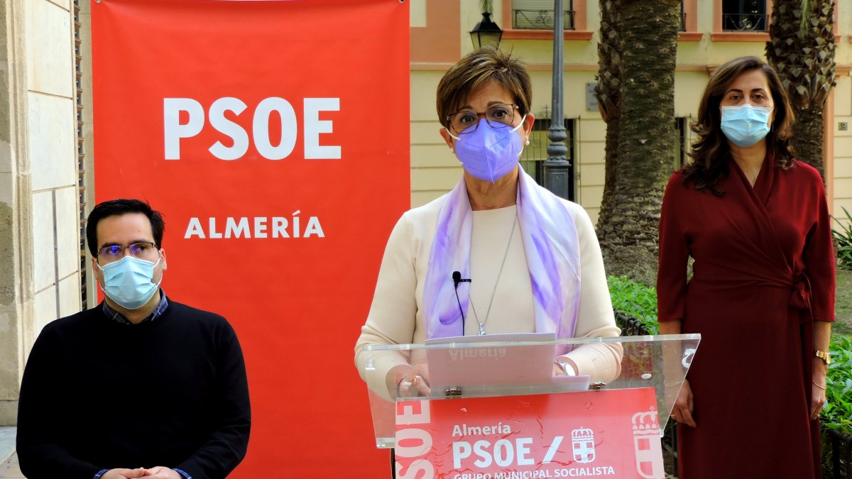 Rueda de prensa de los socialistas para presentar su moción