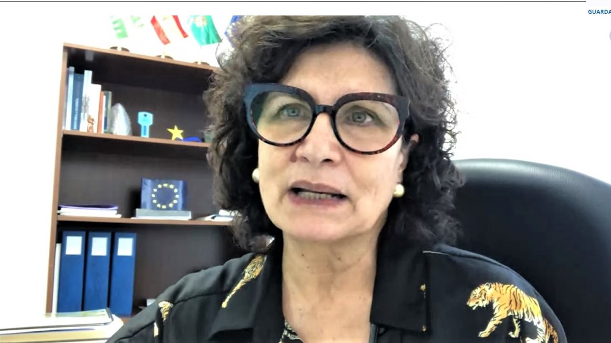 Carmen Navarro durante el encuentro virtual.