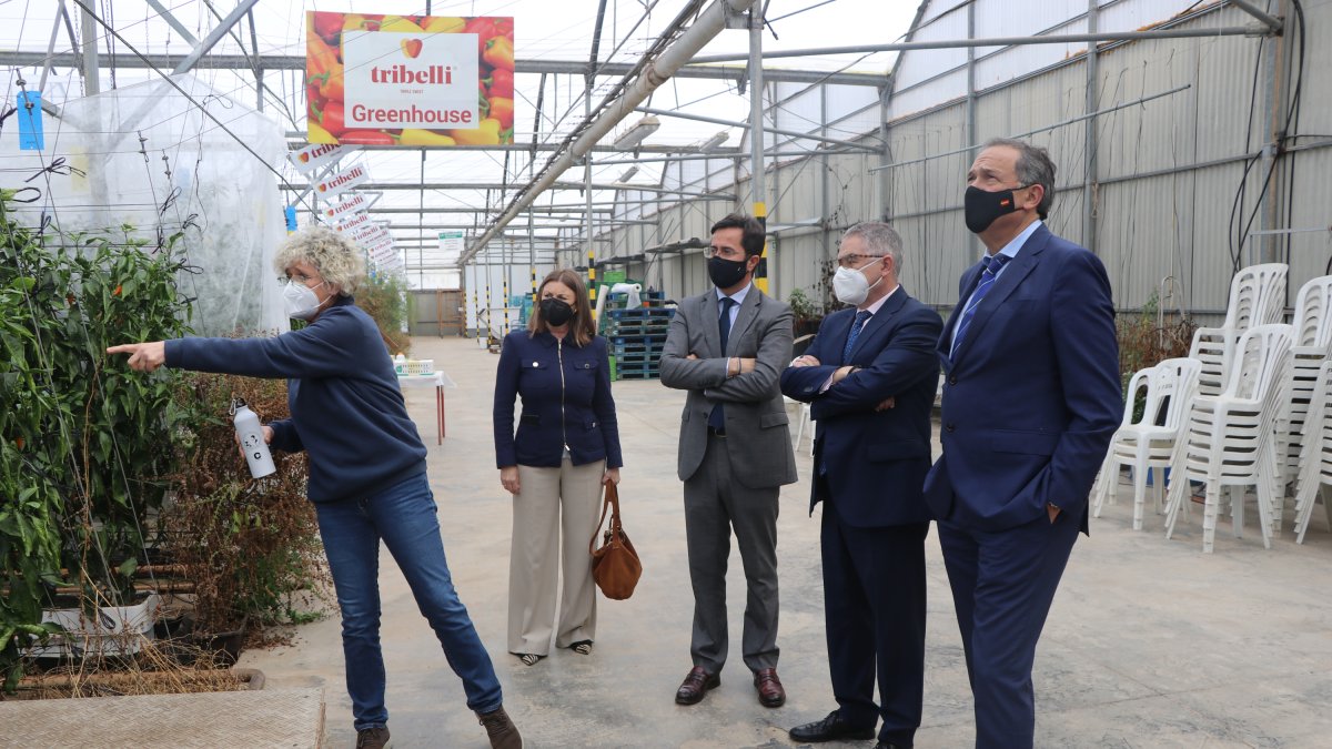 Visita guiada a las instalaciones de Clisol Agro.