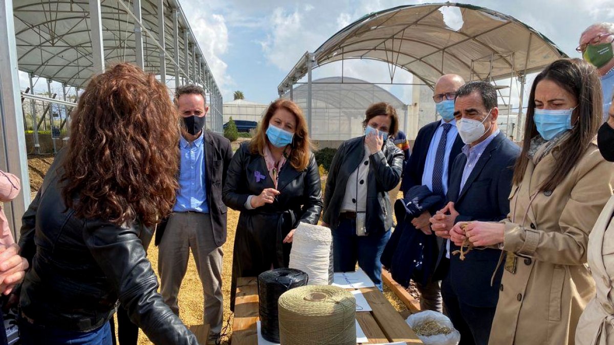 La consejera, que ha visitado esta mañana el centro del Ifapa de La Mojonera (Almería)