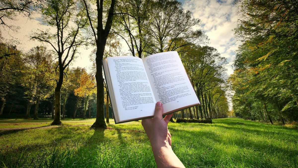 Actividades al aire libre en Aula de Naturaleza Paredes.