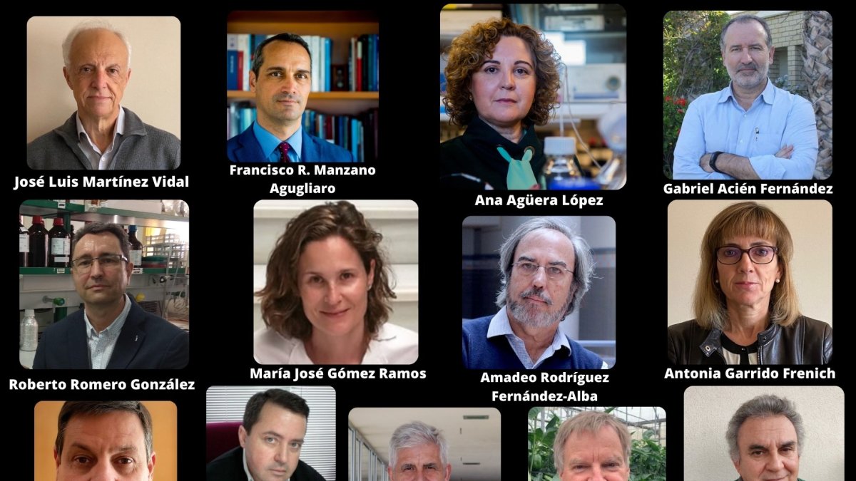 Estos son los trece investigadores almerienses incluidos en el ranking