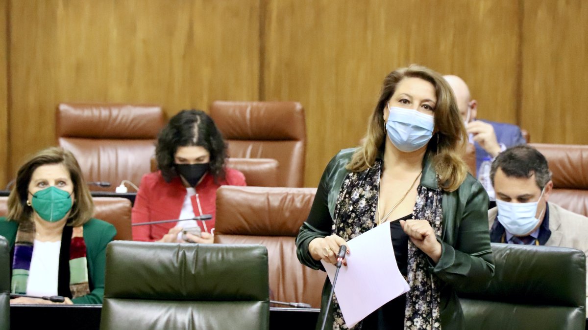 Carmen Crespo, ayer durante su intervención ante la cámara.