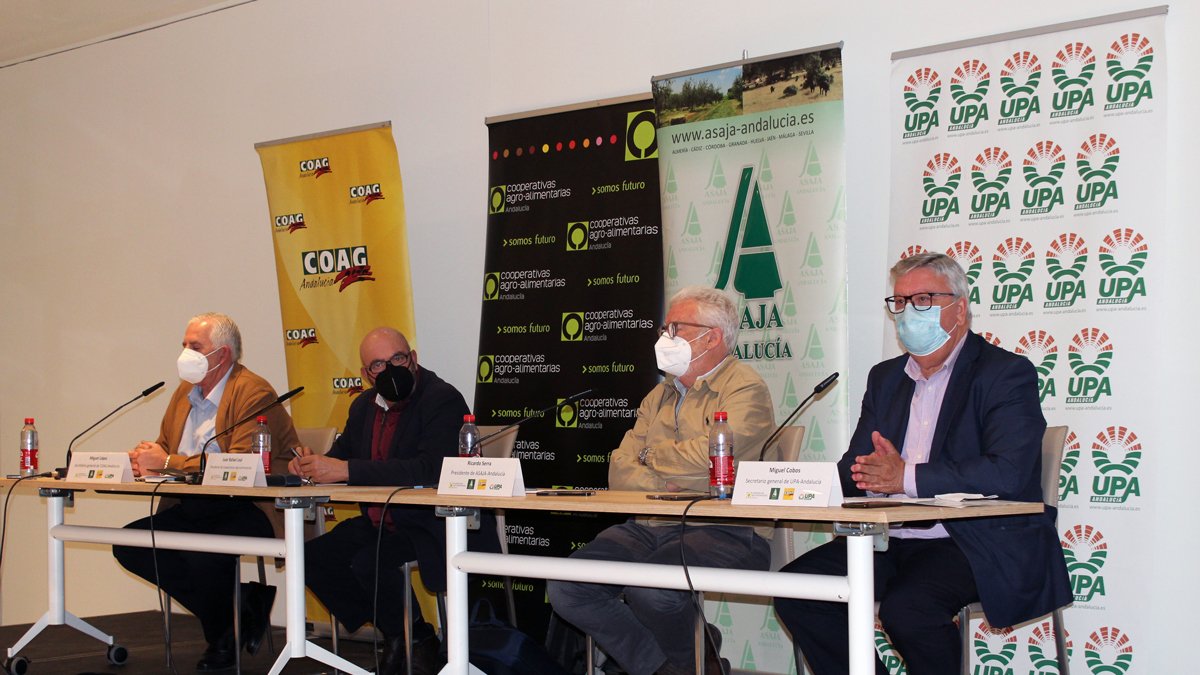 Fotografía de la rueda de prensa.