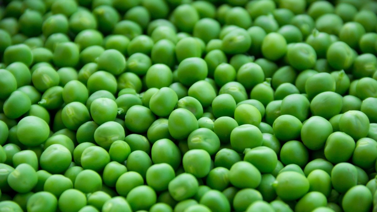 Guisantes, ingrediente de nuestro menú saludable.