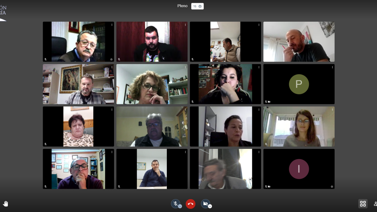 Pleno Ordinario Telemático del Ayuntamiento de Pulpí.