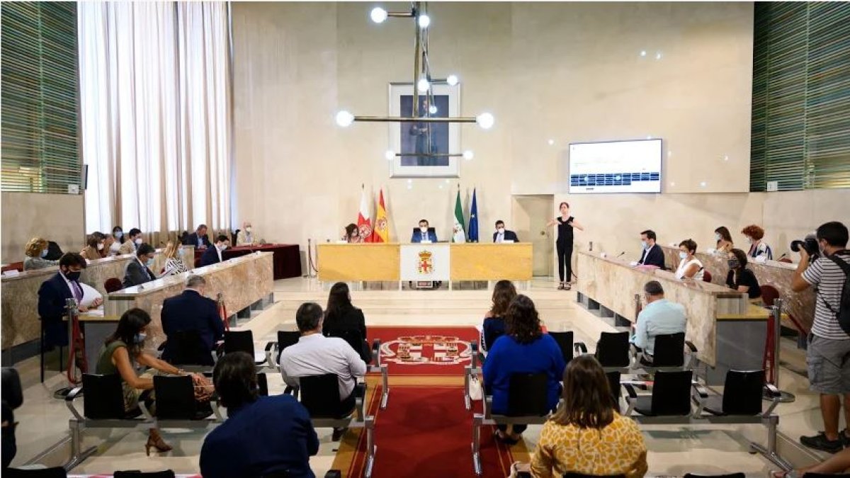 Última sesión plenaria presencial en el Ayuntamiento de la capital