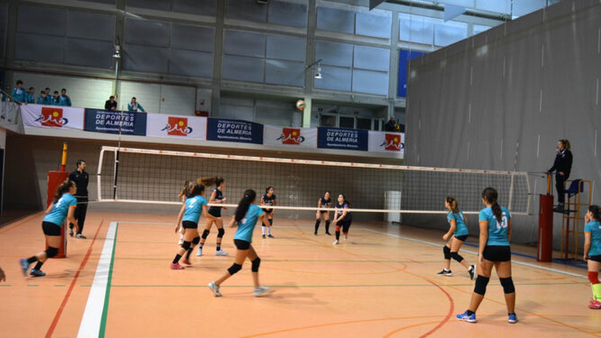 El PMD abre el plazo de subvenciones a clubes, escuelas y federaciones.